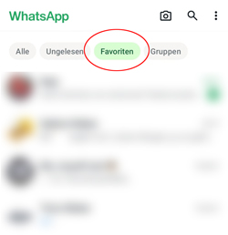 WhatsApp: So kannst du die festgelegten Favoriten ansehen