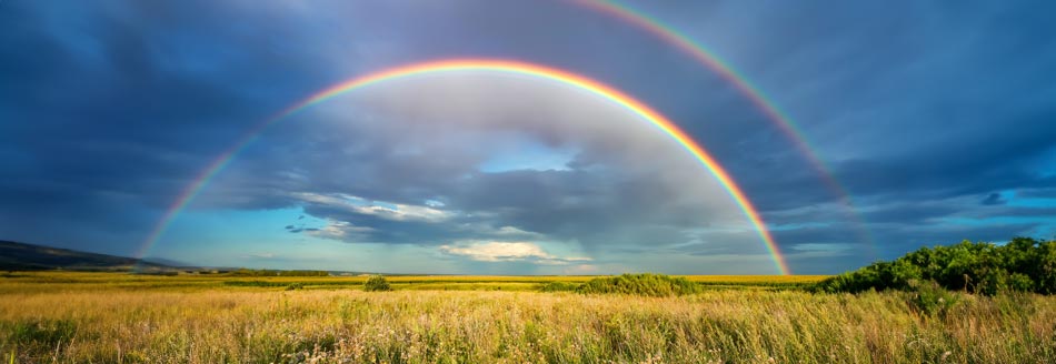 Heißt es Regenbogen oder Regenbögen?