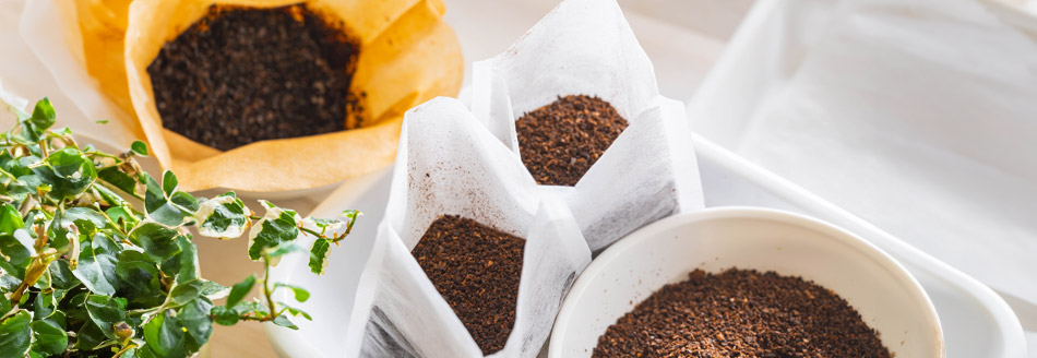 Darum solltest du den Kaffeesatz nicht wegwerfen