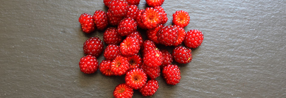 Leckere Weinbeeren warten auf ihren Verzehr